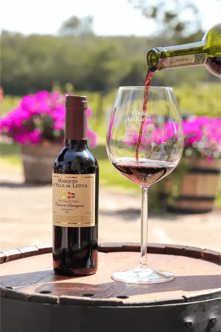 Imagen Vino Cabernet Sauvignon Reserva Especial 375 2