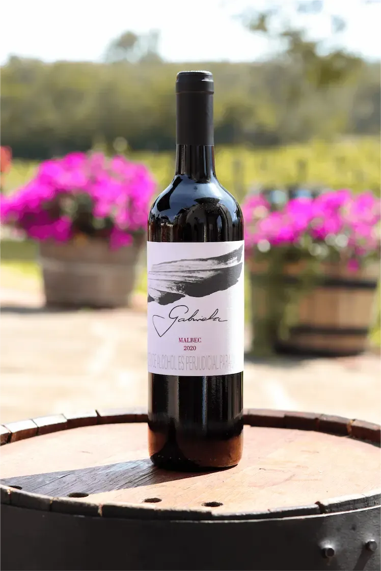 Imagen Vino Malbec 1