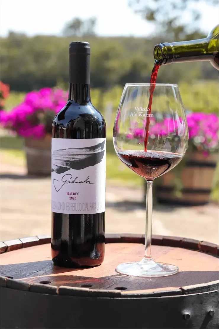 Imagen Vino Malbec 2
