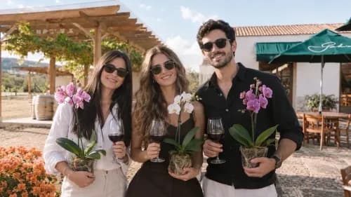 Image Entre Orquídeas y Vino