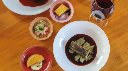 Image Maestro Catador