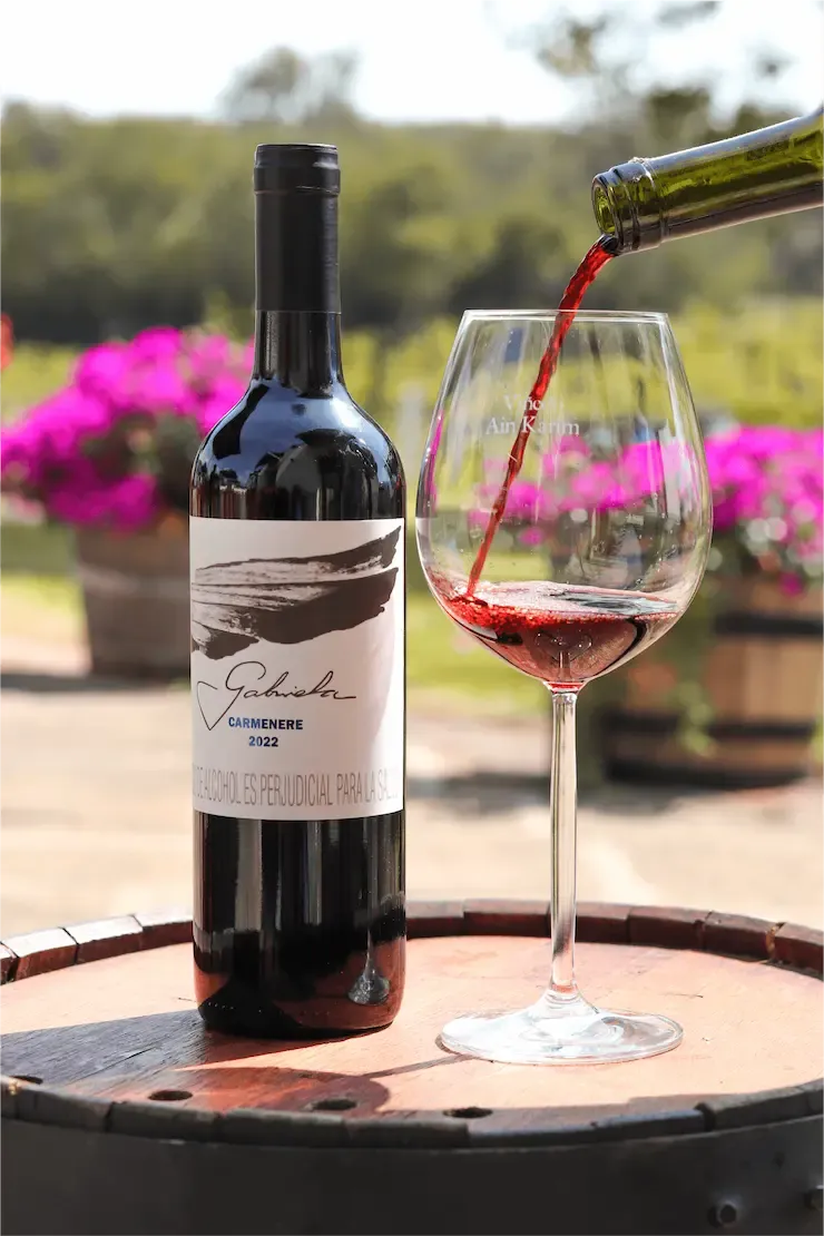 Imagen Vino Carmenere 2