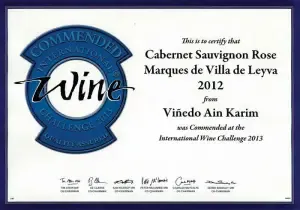 slide reconocimiento 15