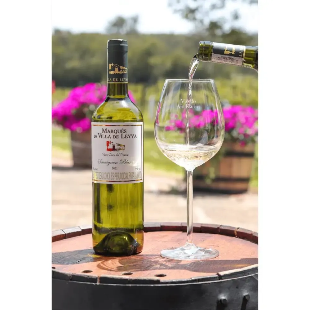 Imagen Vino Sauvignon Blanc 2
