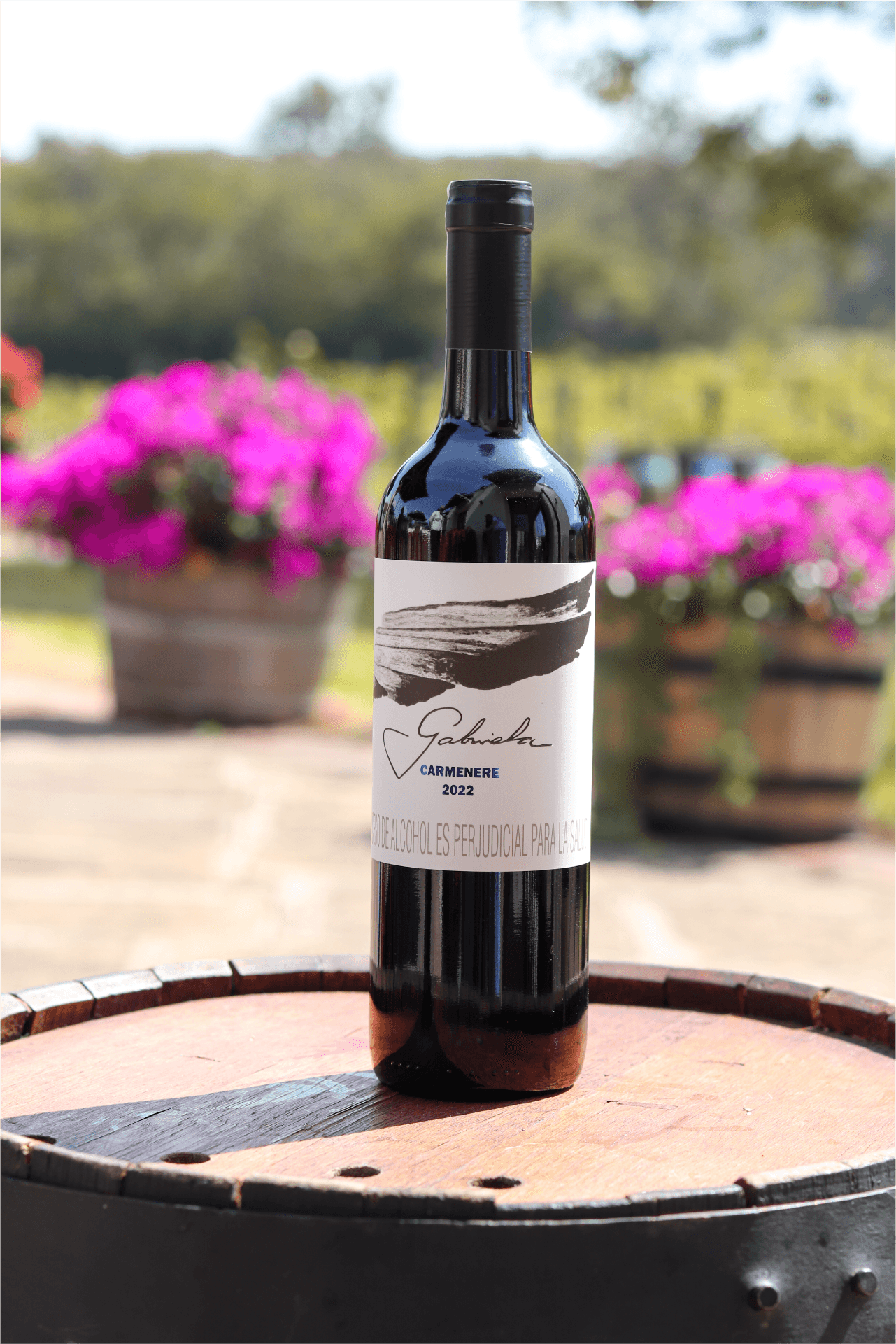 Imagen Vino Carmenere