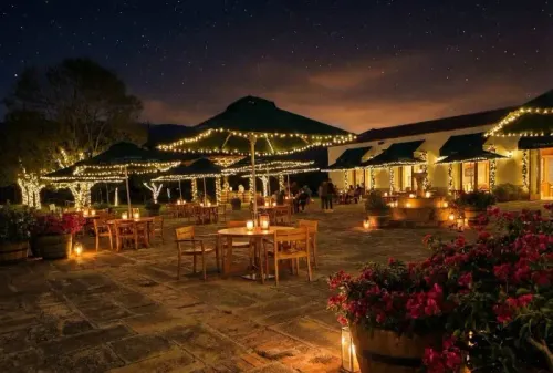 Image Plan Luces Viñedo