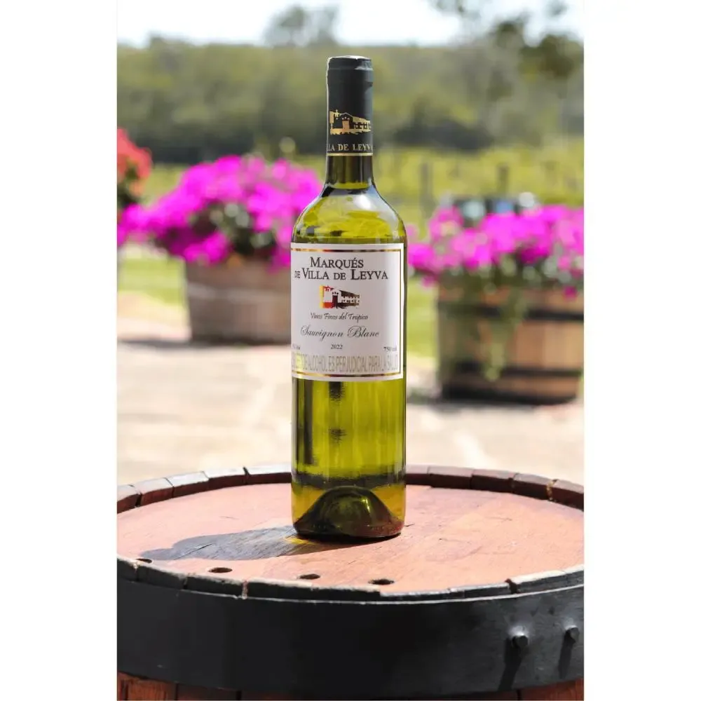 Imagen Vino Sauvignon Blanc 1
